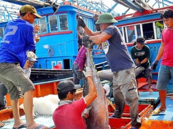 Tuna exports expand 10 percent in 2019