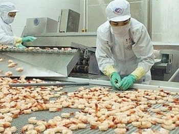Mitsui invests $100 million in Vietnam’s king of shrimp Minh Phu
