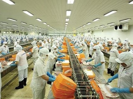 Xuất khẩu hải sản 3,2 tỷ USD, không đạt mục tiêu dự kiến