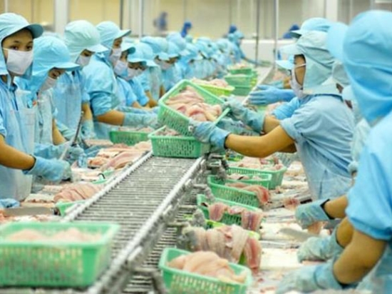 Xuất khẩu chưa quá khó