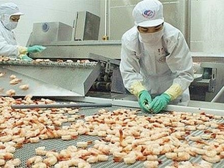 Mitsui invests $100 million in Vietnam’s king of shrimp Minh Phu
